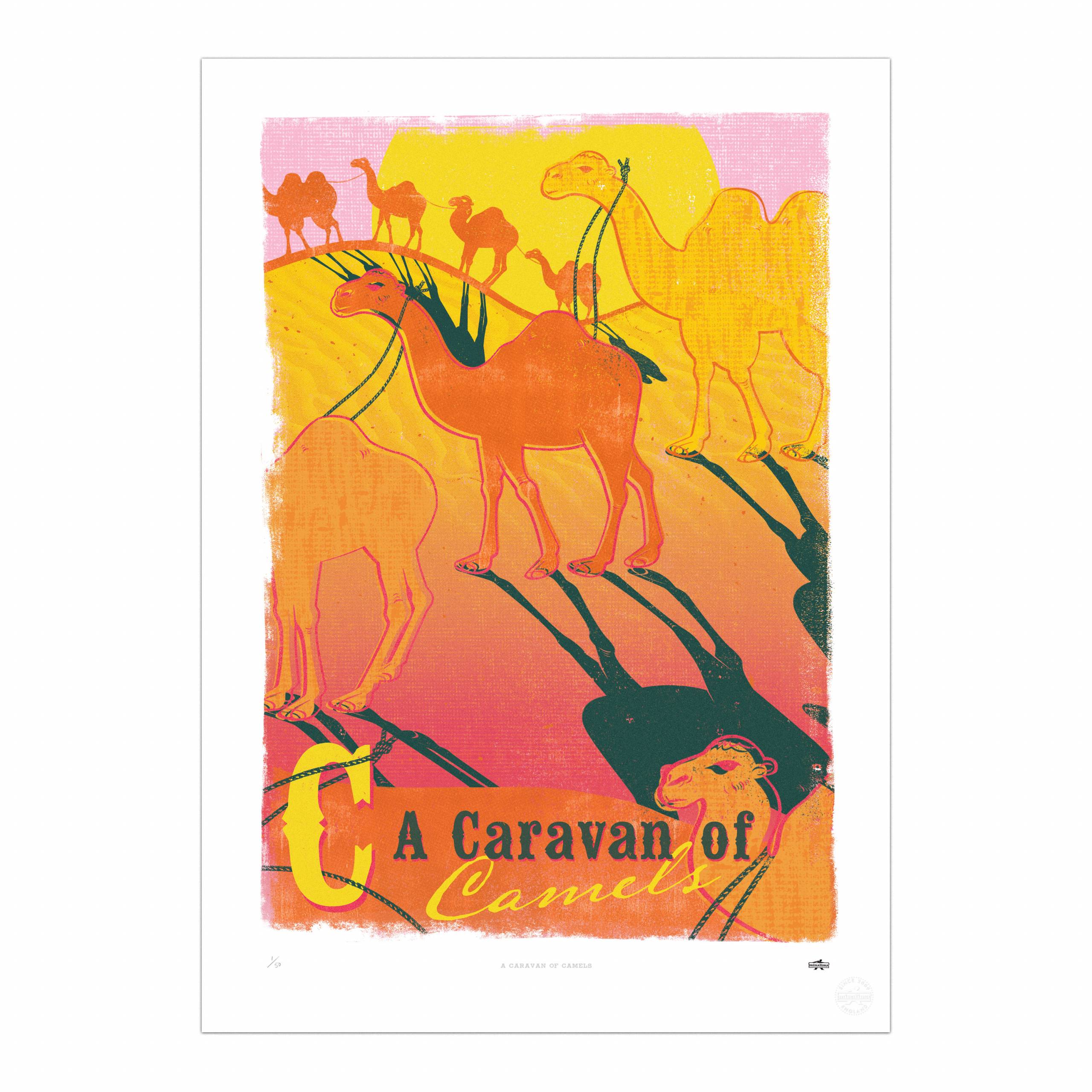 A Caravan of Camels