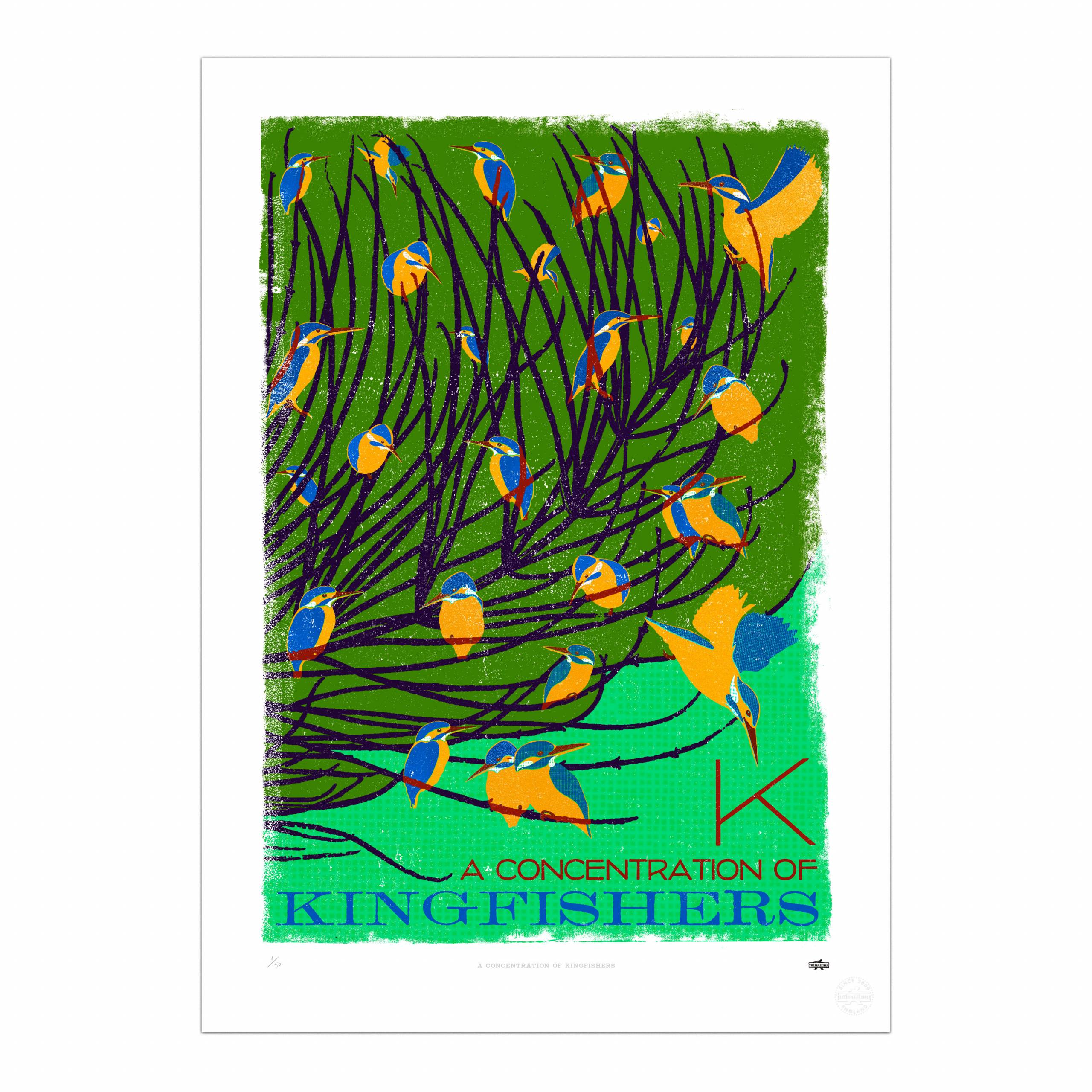 A Concentration of Kingfishers