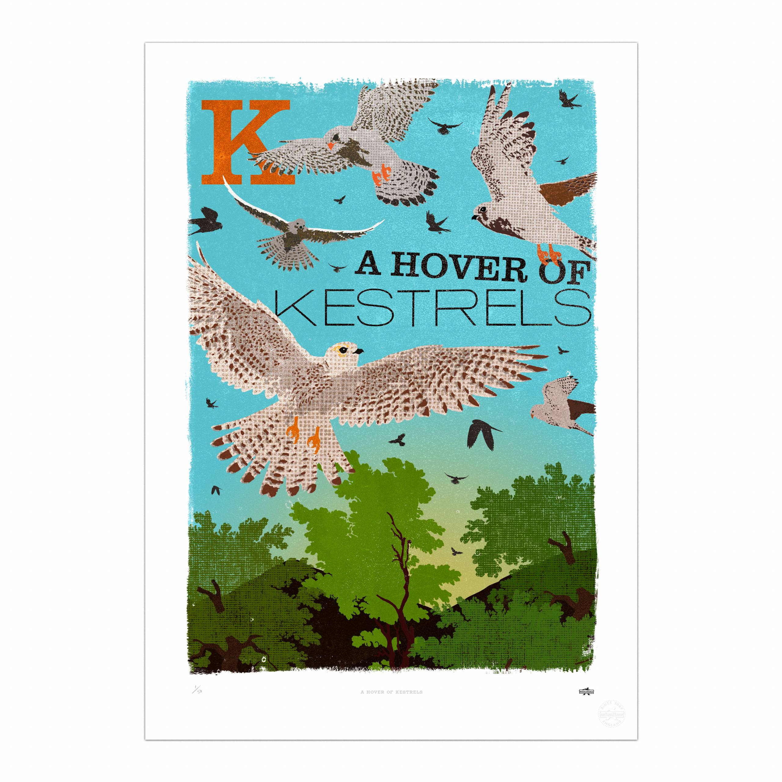 A Hover of Kestrels Print
