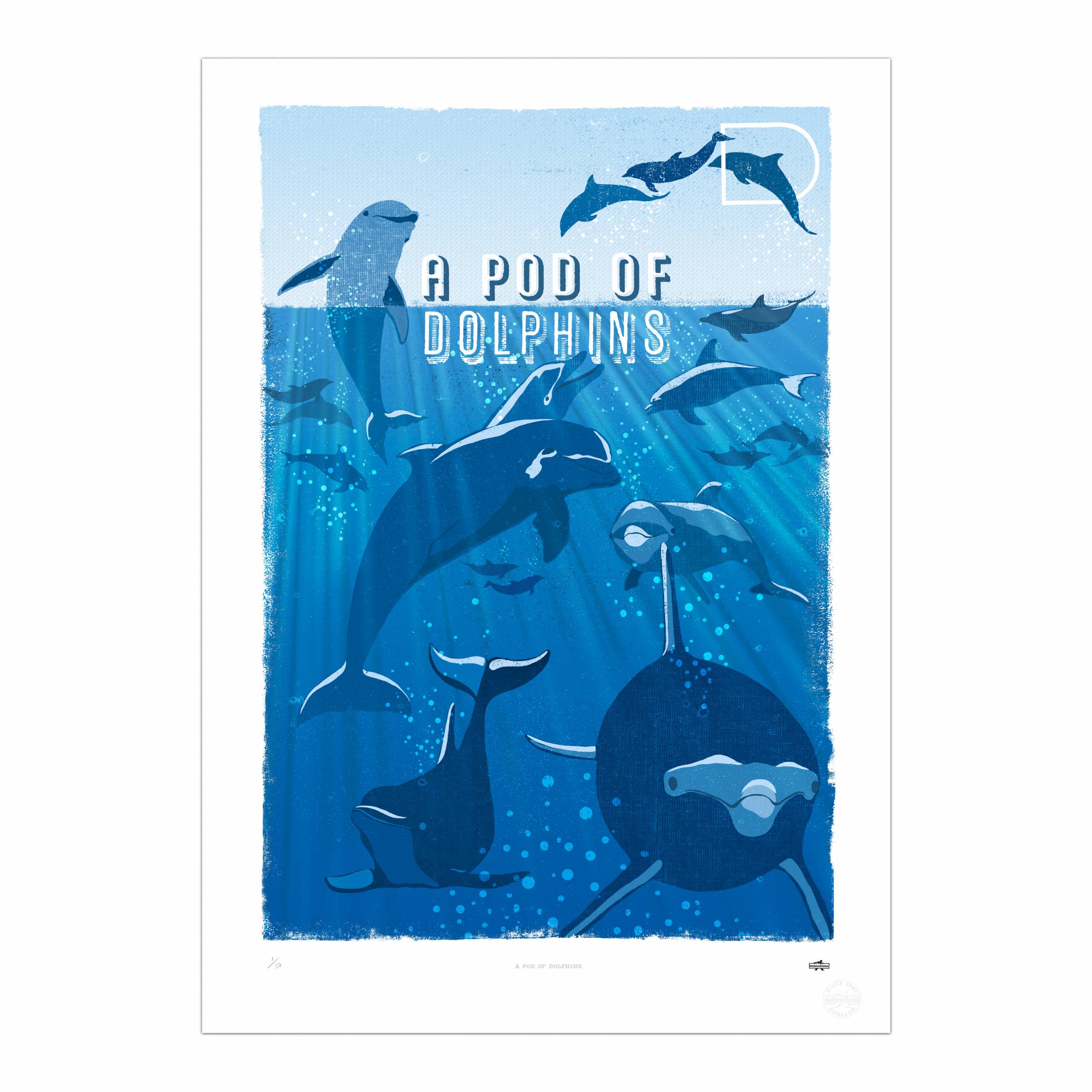A Pod of Dolphins