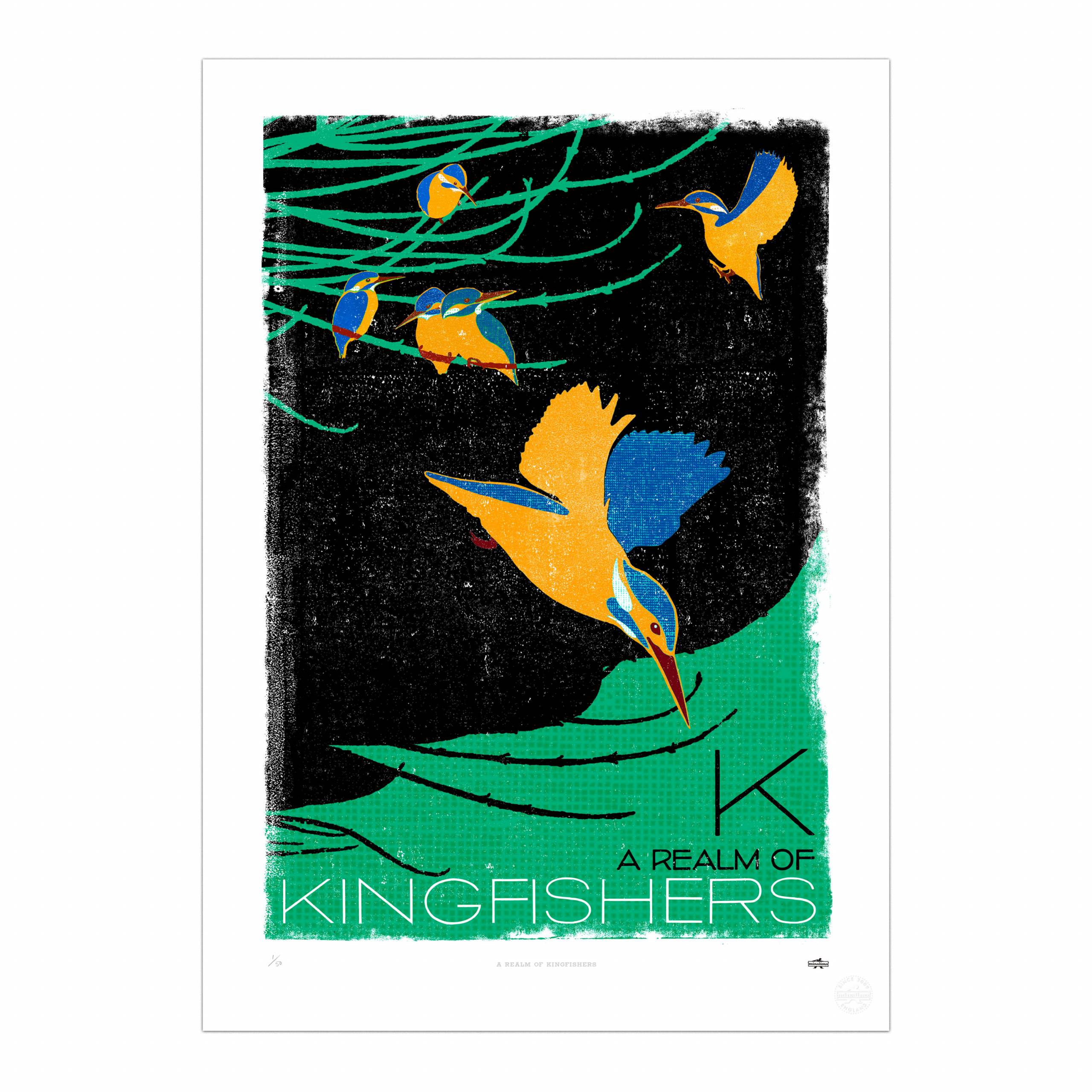A Realm of Kingfishers