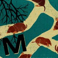 MinaLima - A Movement of Moles プリント