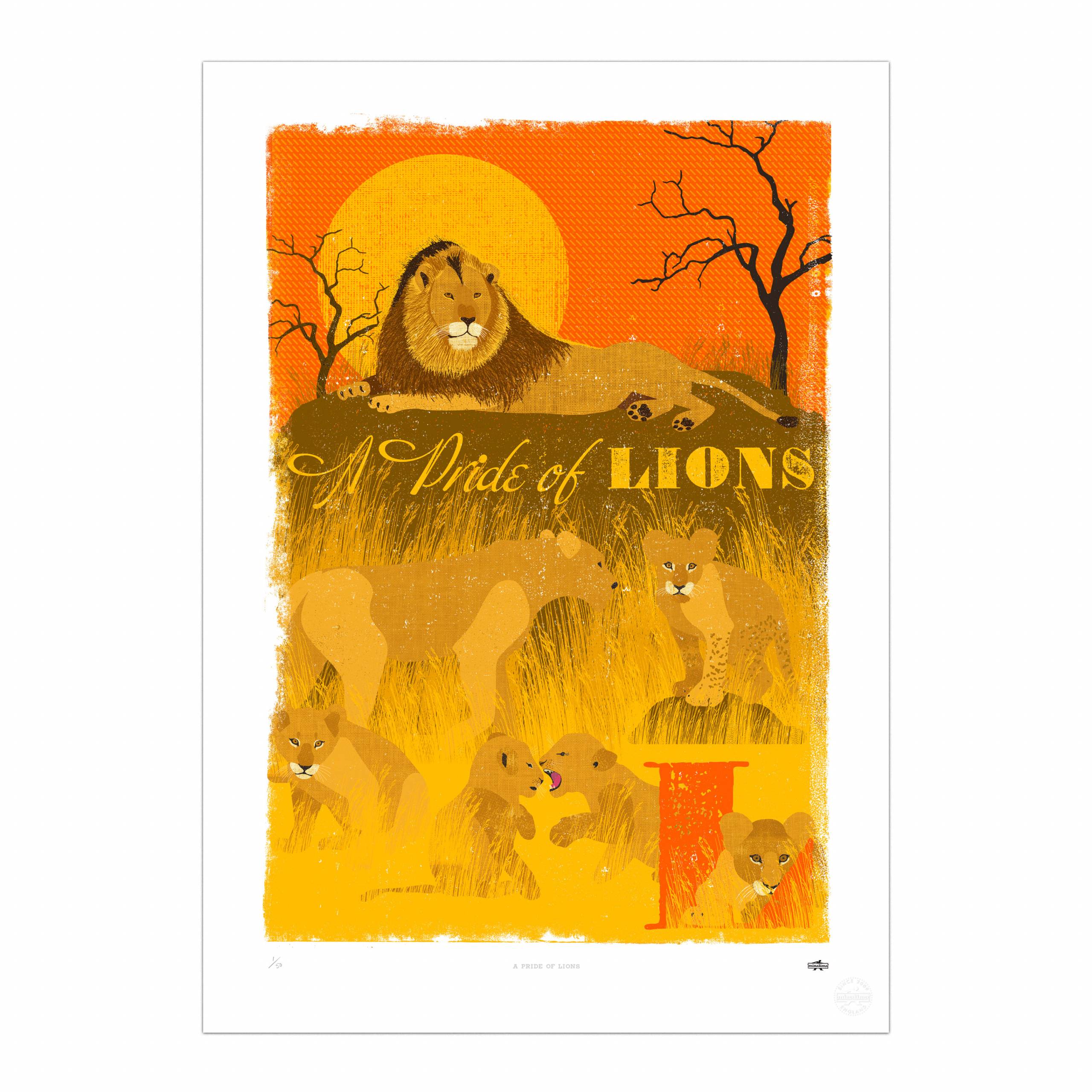 A Pride of Lions Print
