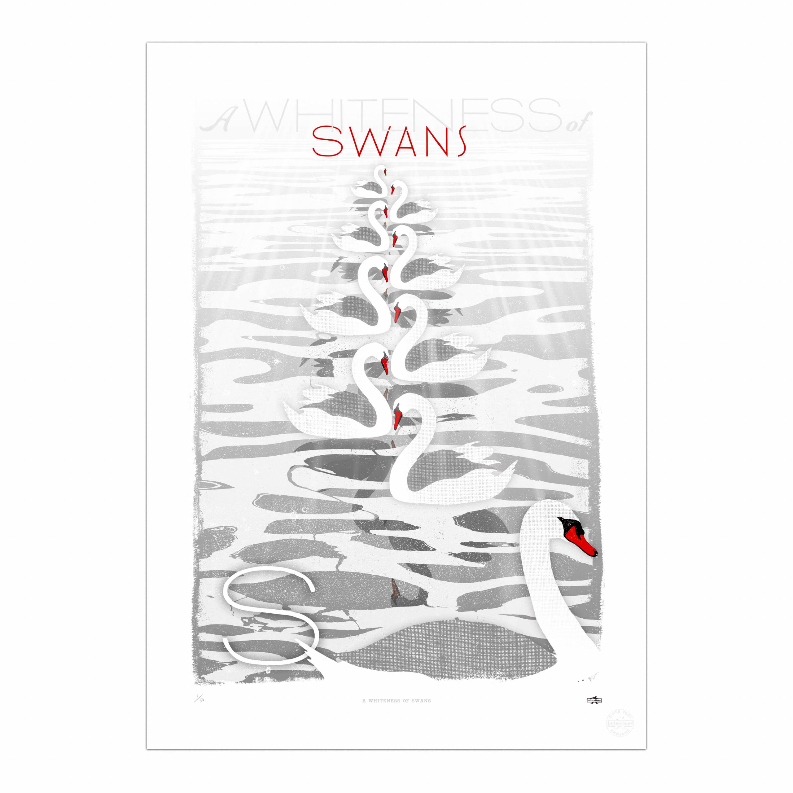 A Whiteness of Swans Print