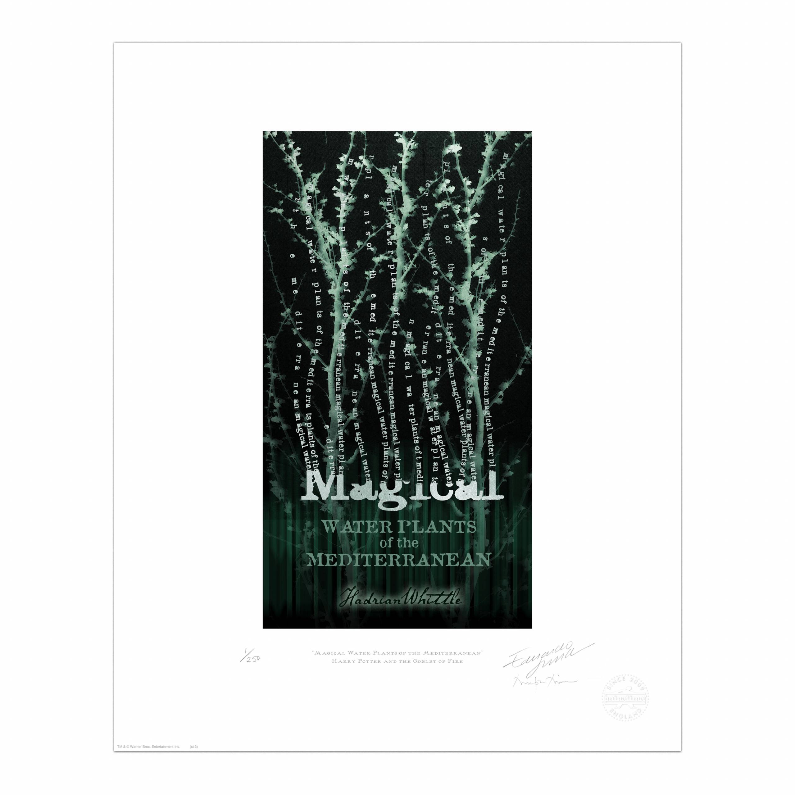 ‘Magical Water Plants of the Mediterranean’
