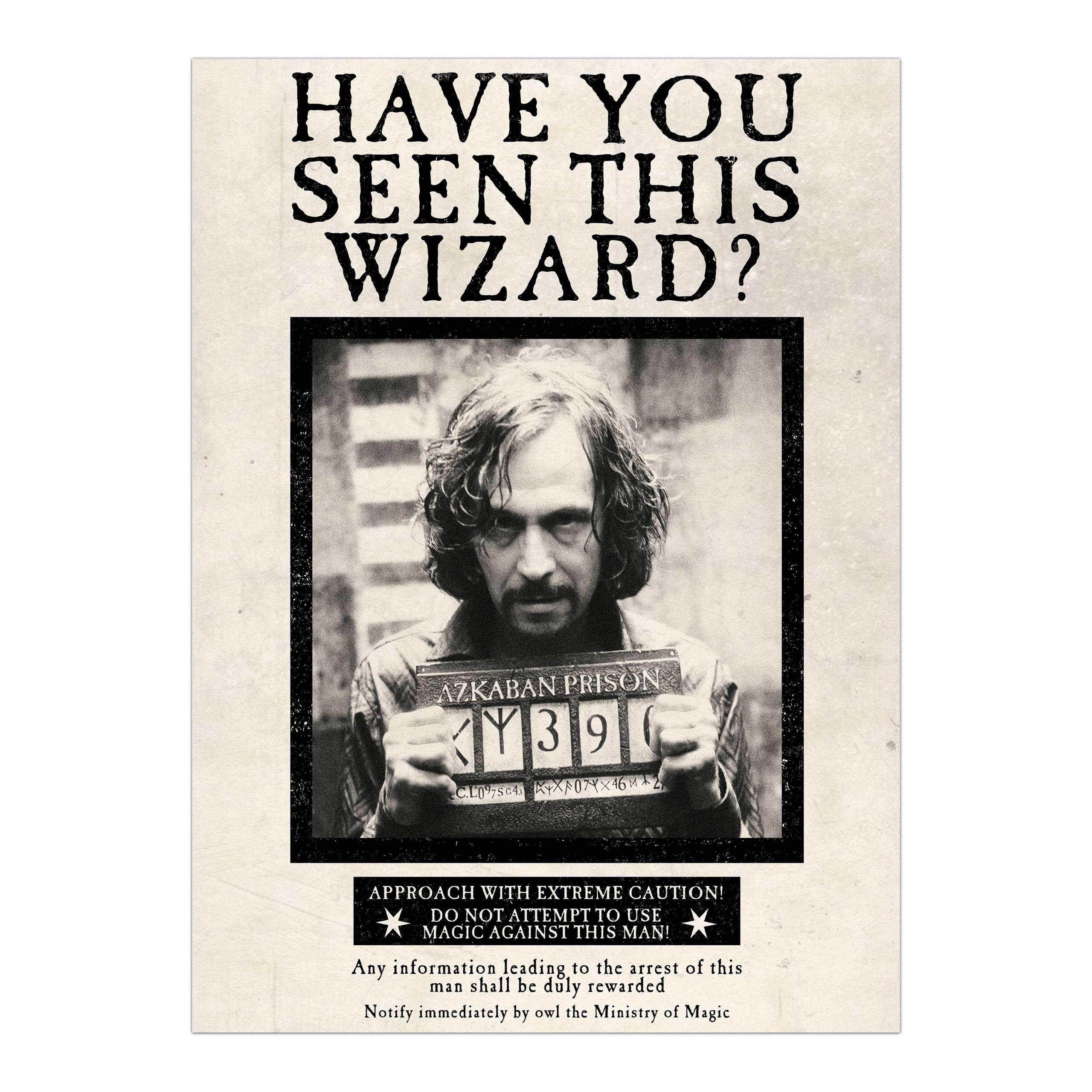  Have You Seen This Wizard Wanted Notice Poster MinaLima