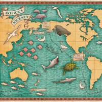 MinaLima - ジャングルブック - Map of Koticks Journeyプリント