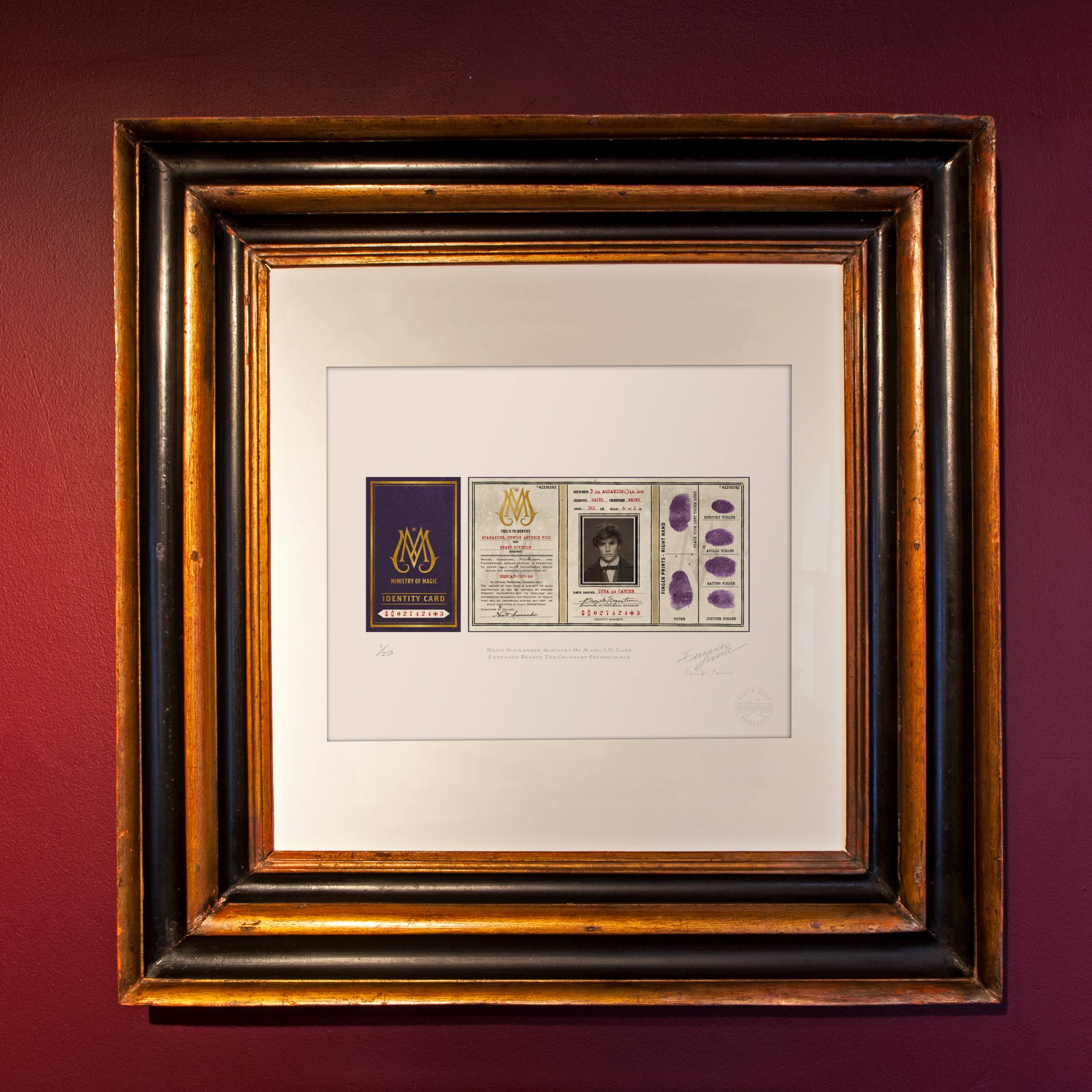 Newt Scamander Ministry of Magic ID Card - MinaLima