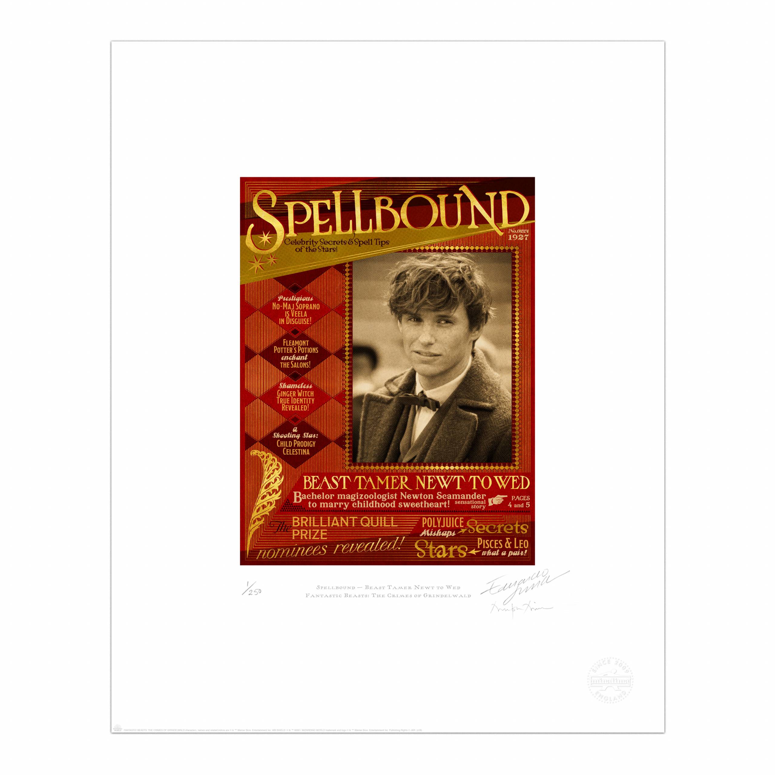 Spellbound - ‘Beast Tamer Newt to Wed’