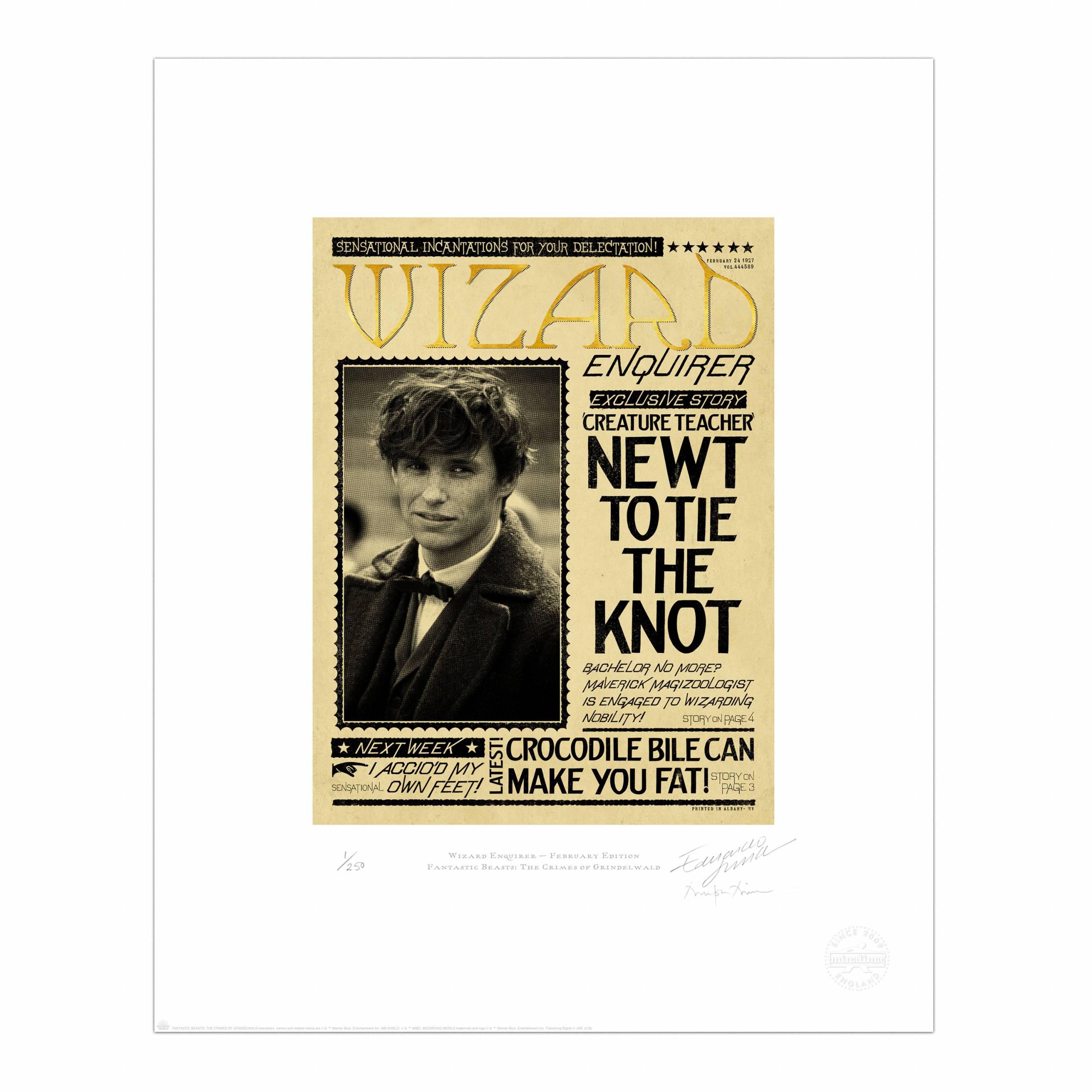 Wizard Enquirer - February Edition