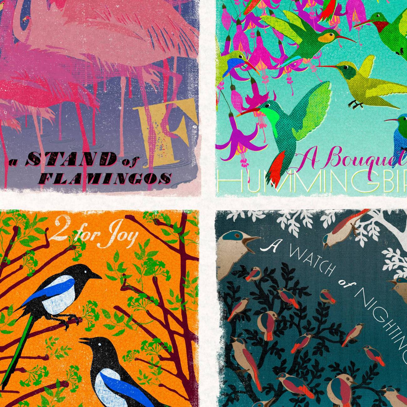 Birds - MinaLima