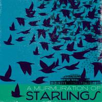 MinaLima - A Murmuration of Starlingsグリーティングカード