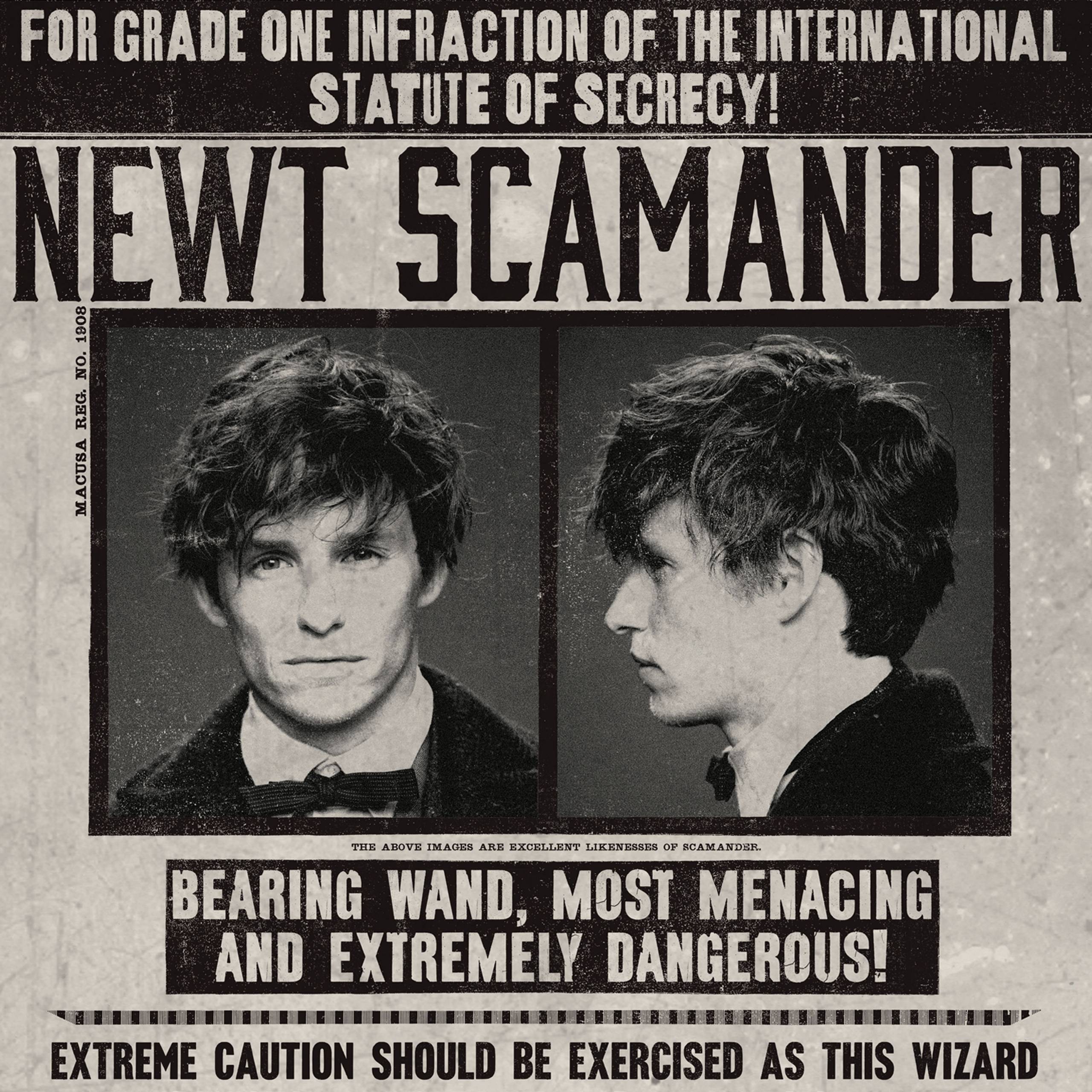 Newt Scamander Wanted Notice Poster MinaLima
