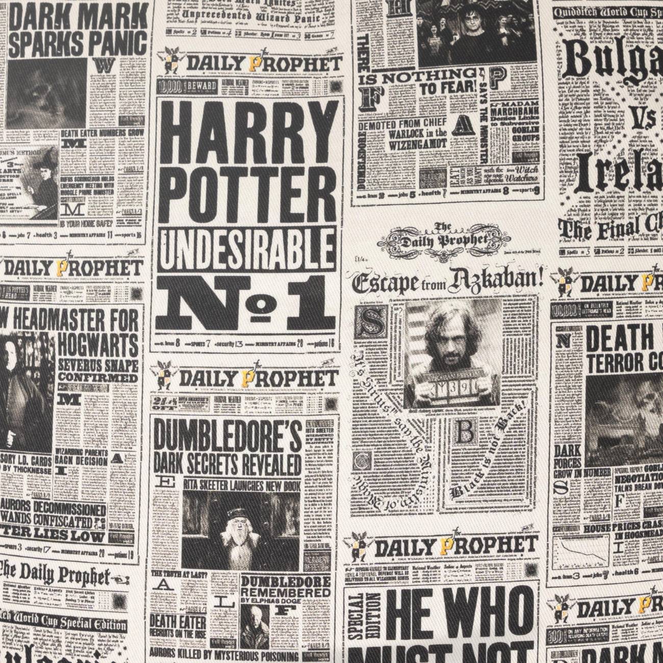 Cushion cover The Daily Prophet Harry Potter