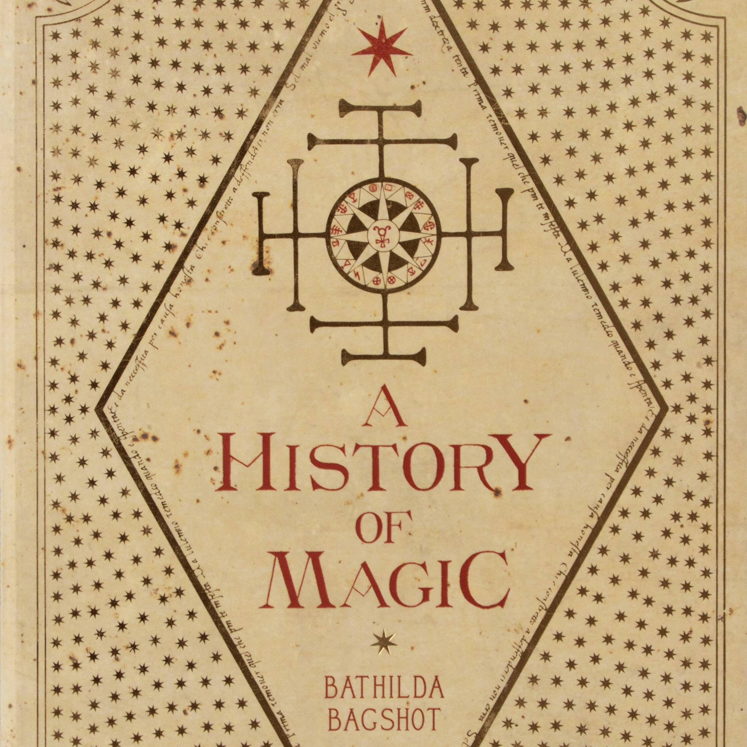 Harry Potter - Carnet journal Hogwarts: A History - Imagin'ères