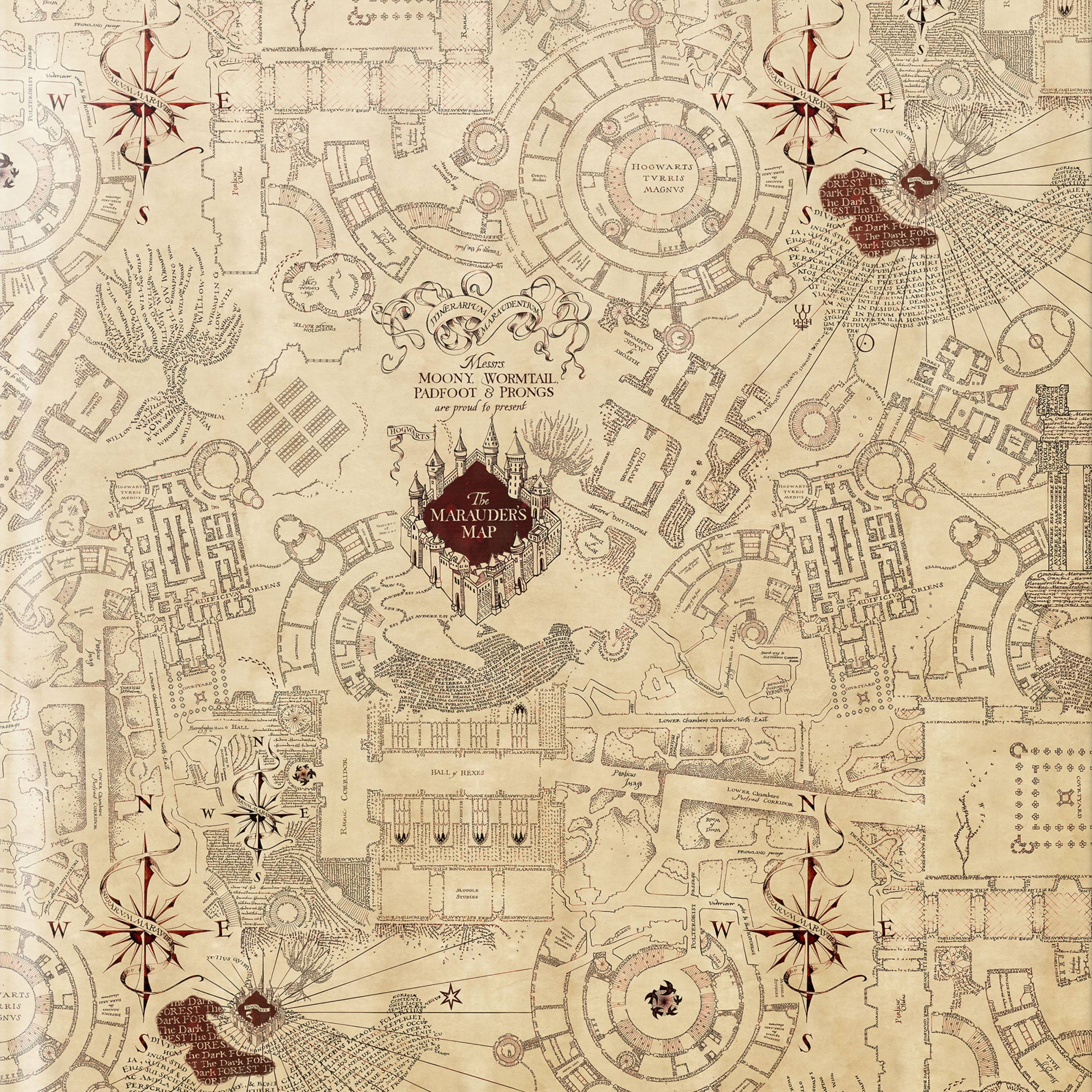 The Marauder's Map Deluxe Wallpaper Sample Swatch - MinaLima