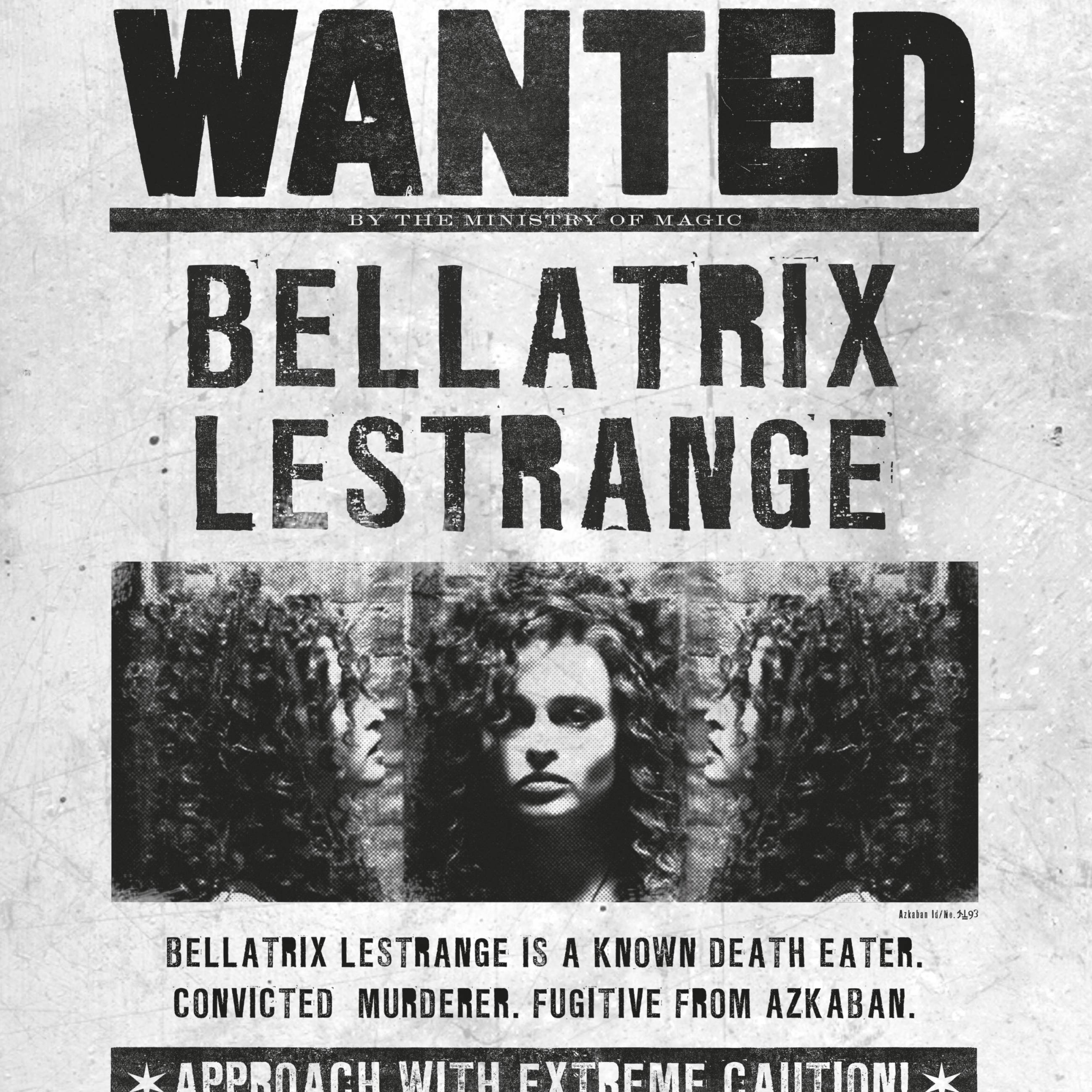 Bellatrix Lestrange Wanted Poster Binder