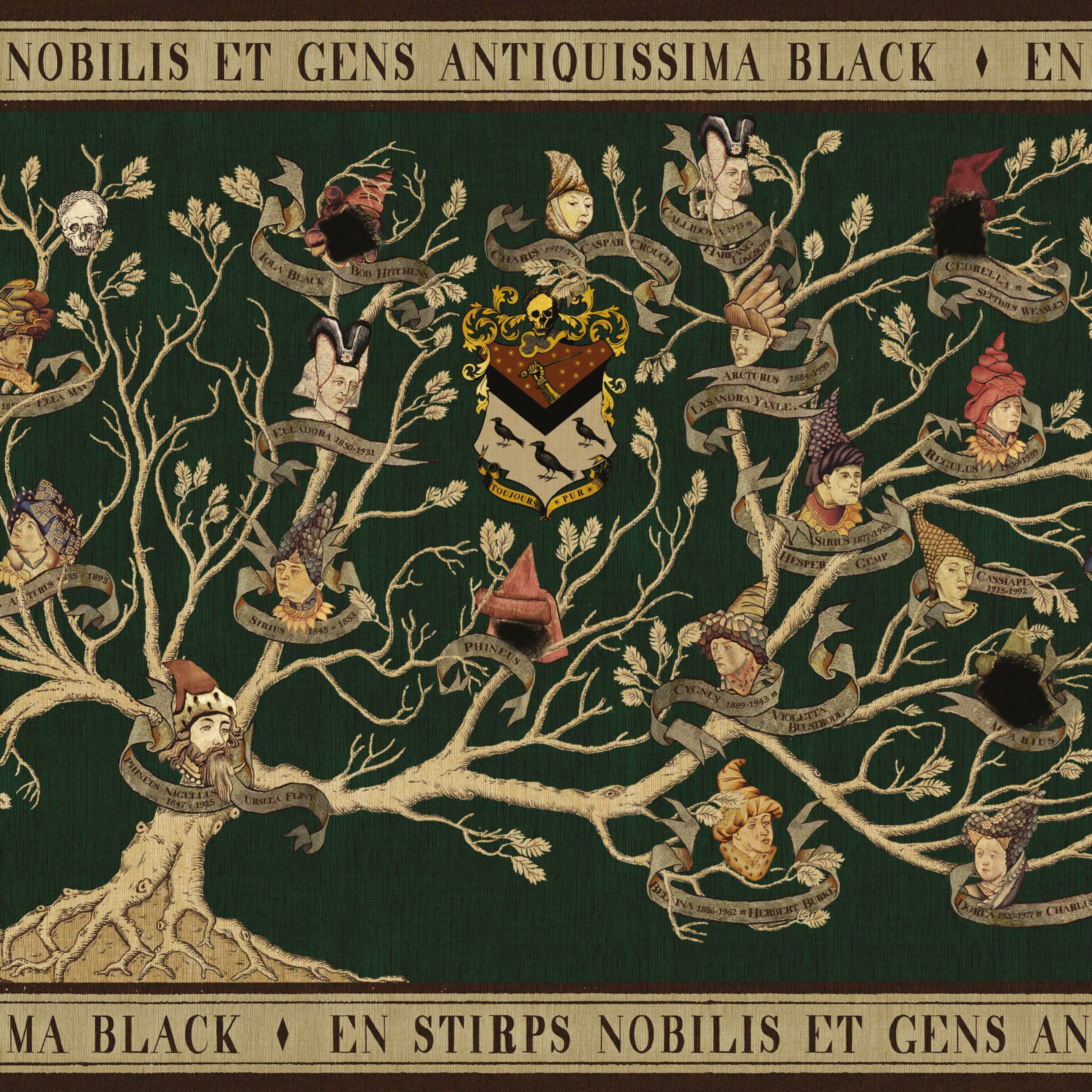 Gift Wrap Black Family Tapestry by Minalima - Harry Potter