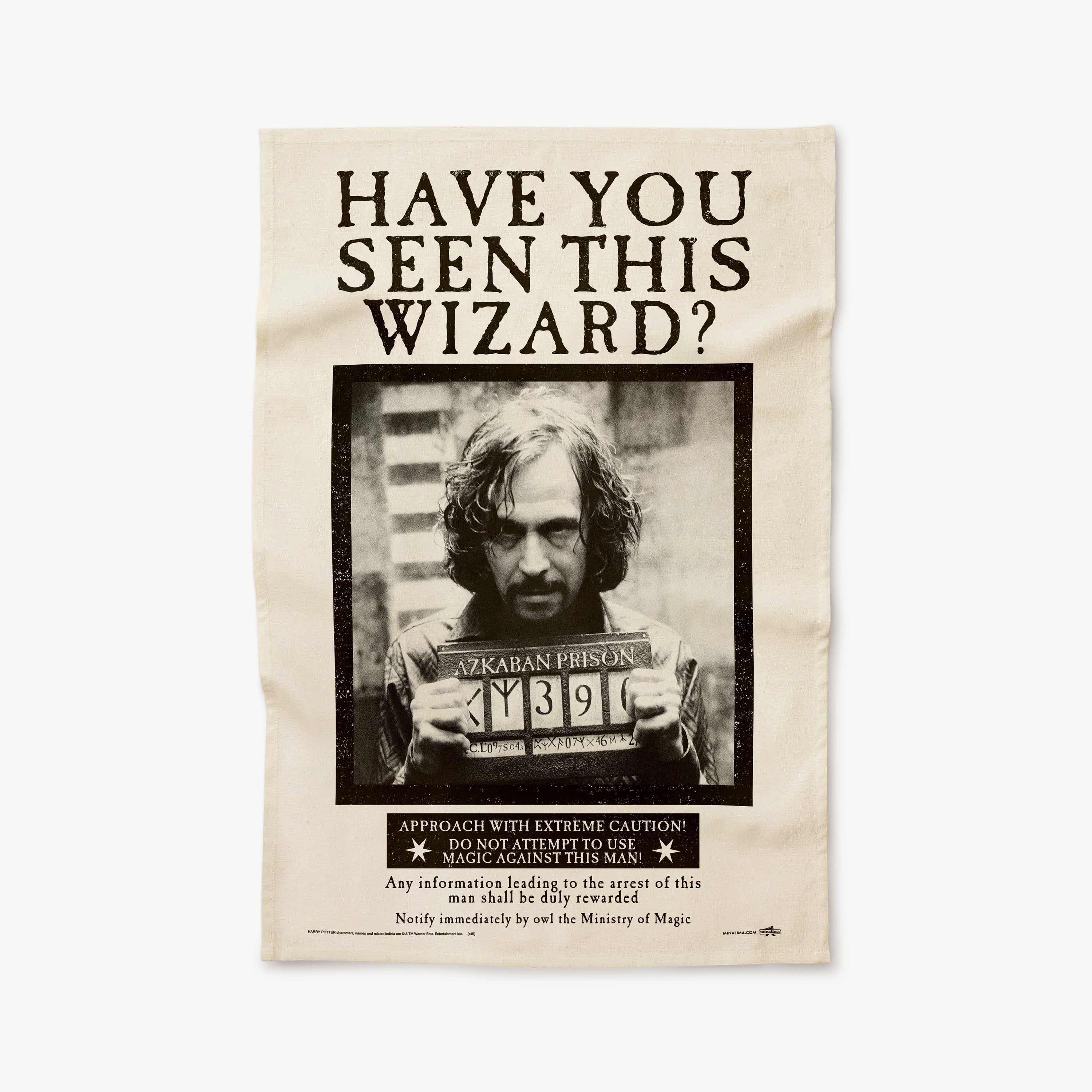 Ministry of Magic - 'Have You Seen This Wizard?'