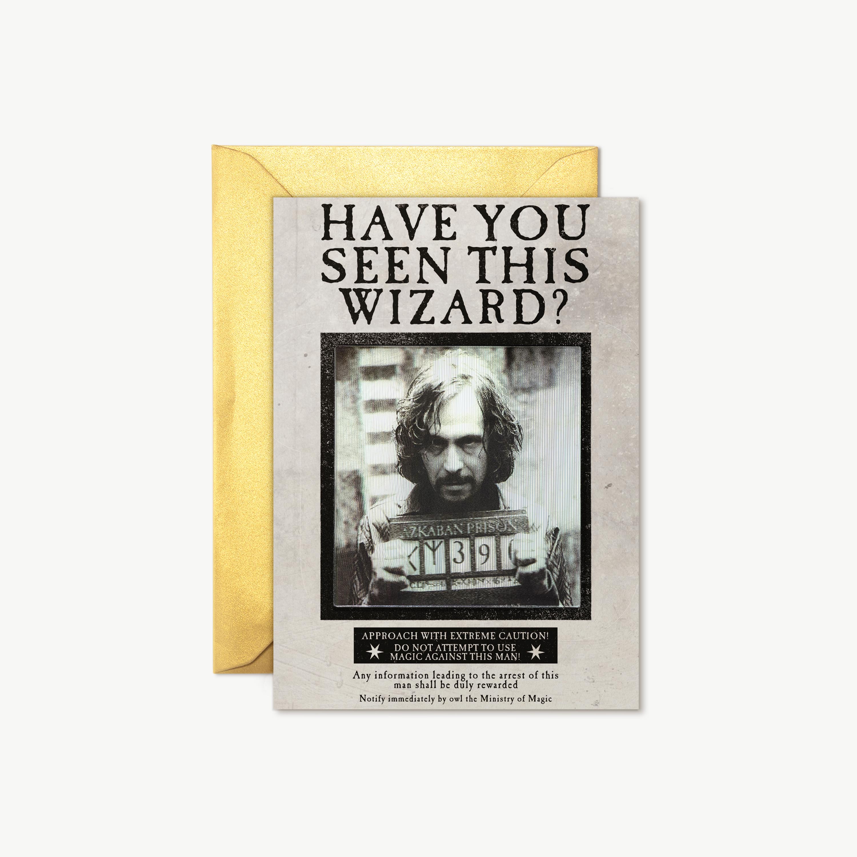 Ministry of Magic - 'Have You Seen This Wizard?'
