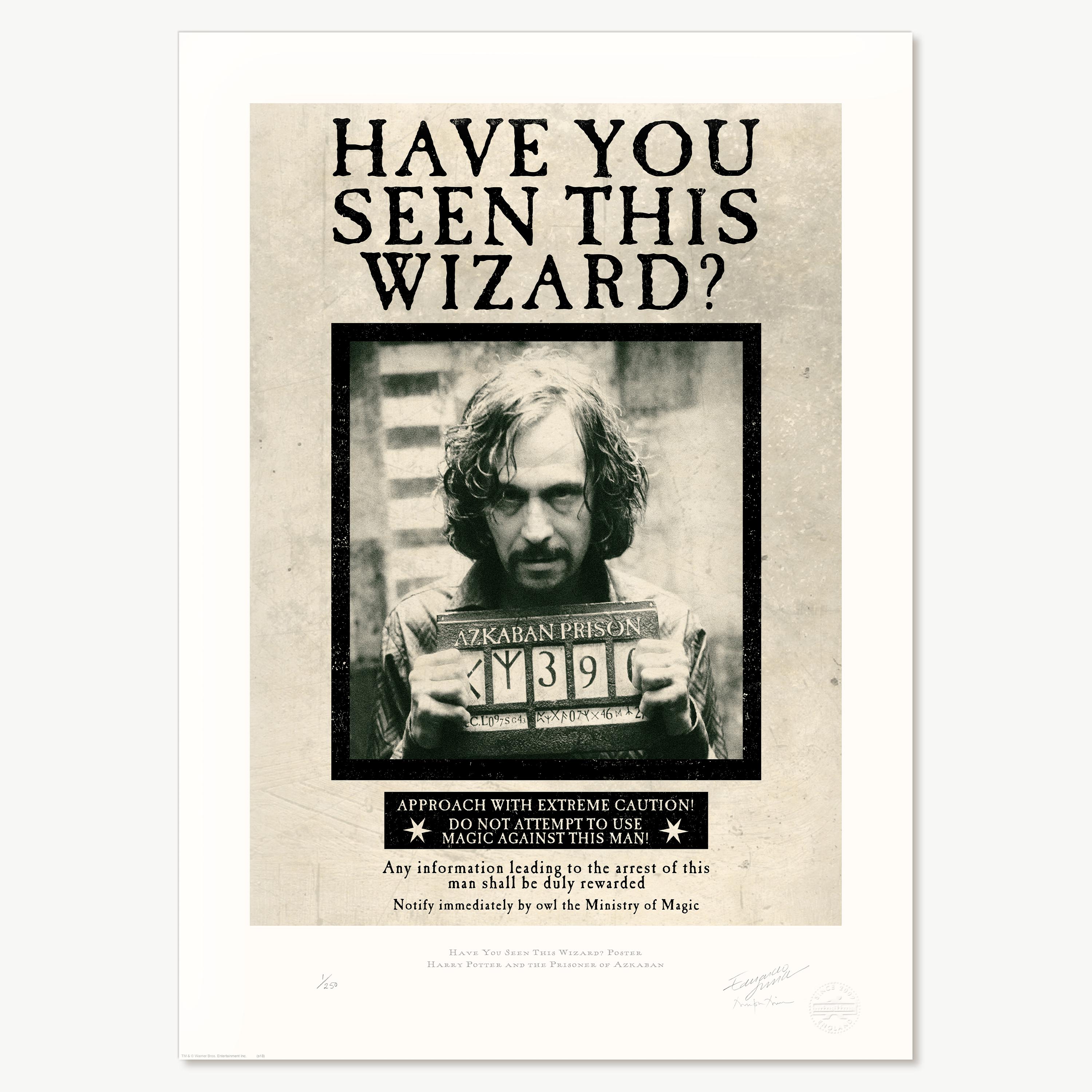 ‘Have You Seen This Wizard?’ Poster
