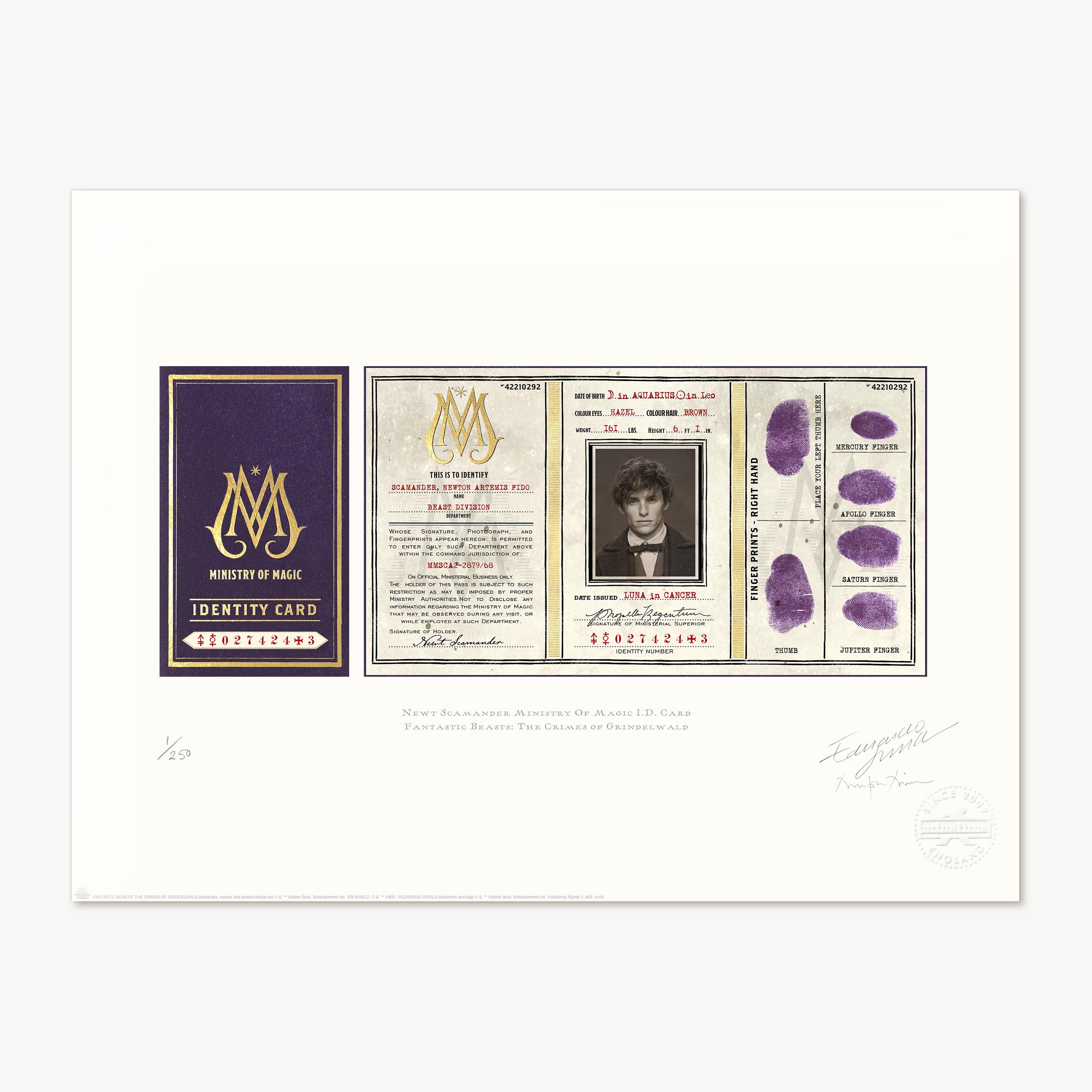 Newt Scamander Ministry of Magic ID Card