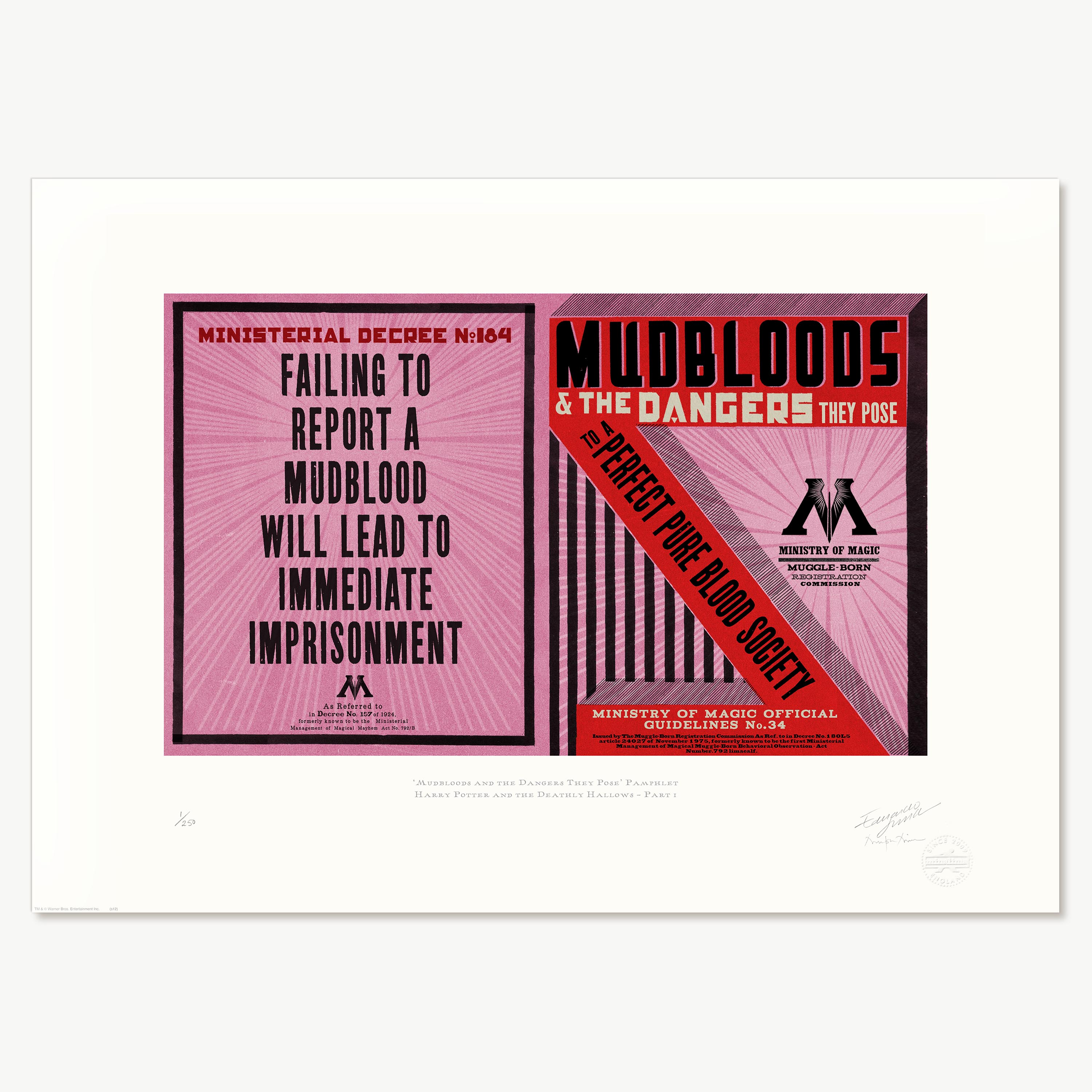 ‘Mudbloods and the Dangers They Pose’ Pamphlet
