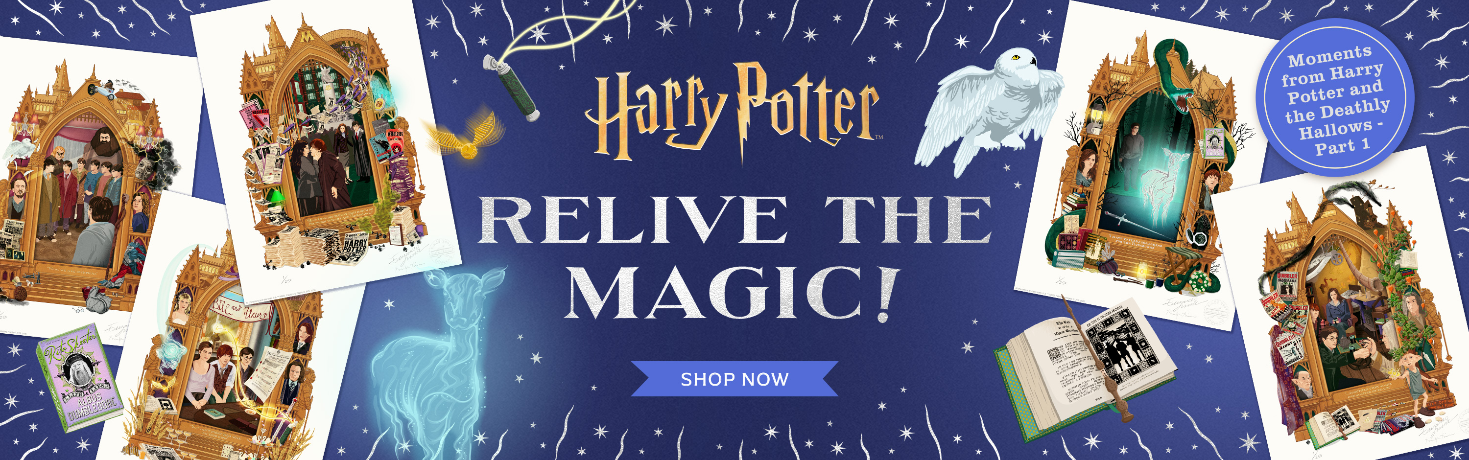 Are you feeling lucky? Shop Harry Potter and Fantastic Beasts Lucky Dips bundles now.