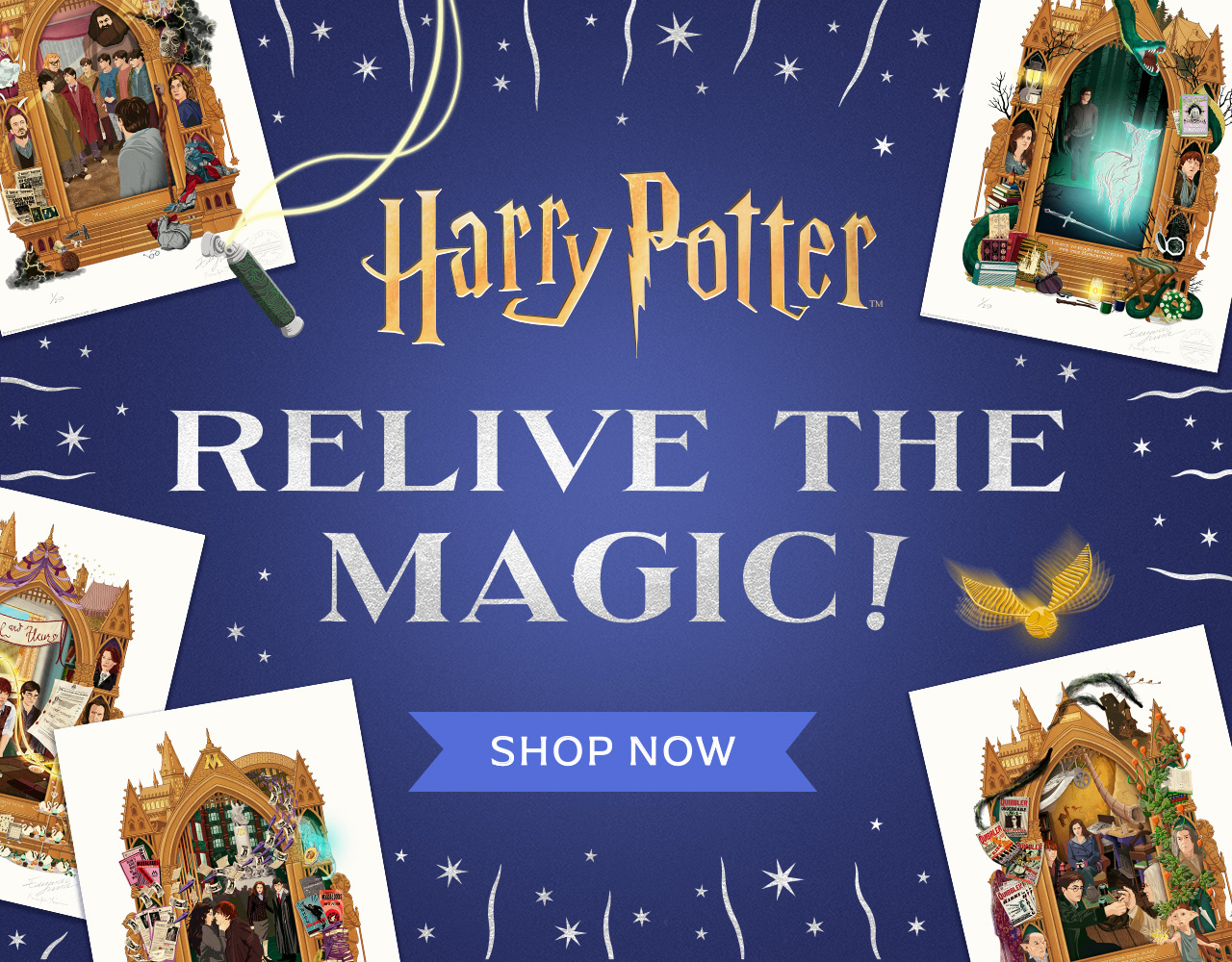 Are you feeling lucky? Shop Harry Potter and Fantastic Beasts Lucky Dips bundles now.