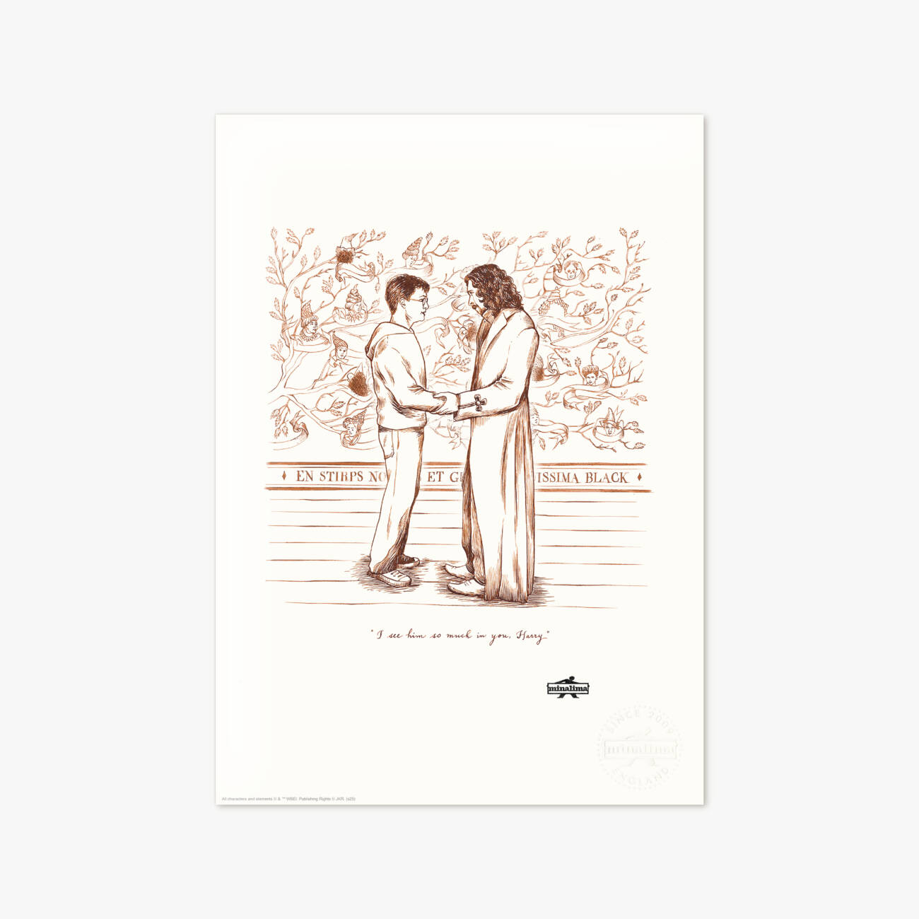 "I see him so much in you, Harry" Sirius Black print depicting a scene from Harry Potter and the Order of the Phoenix.