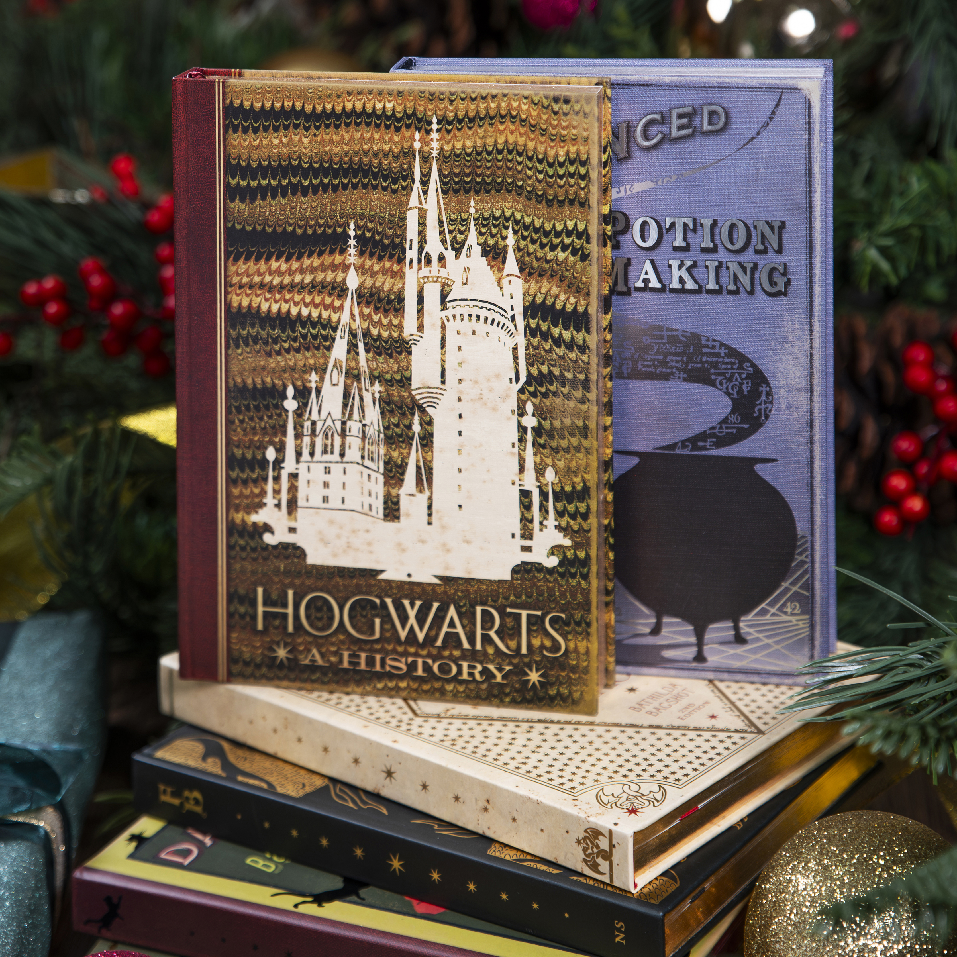 Harry Potter notebooks and journals