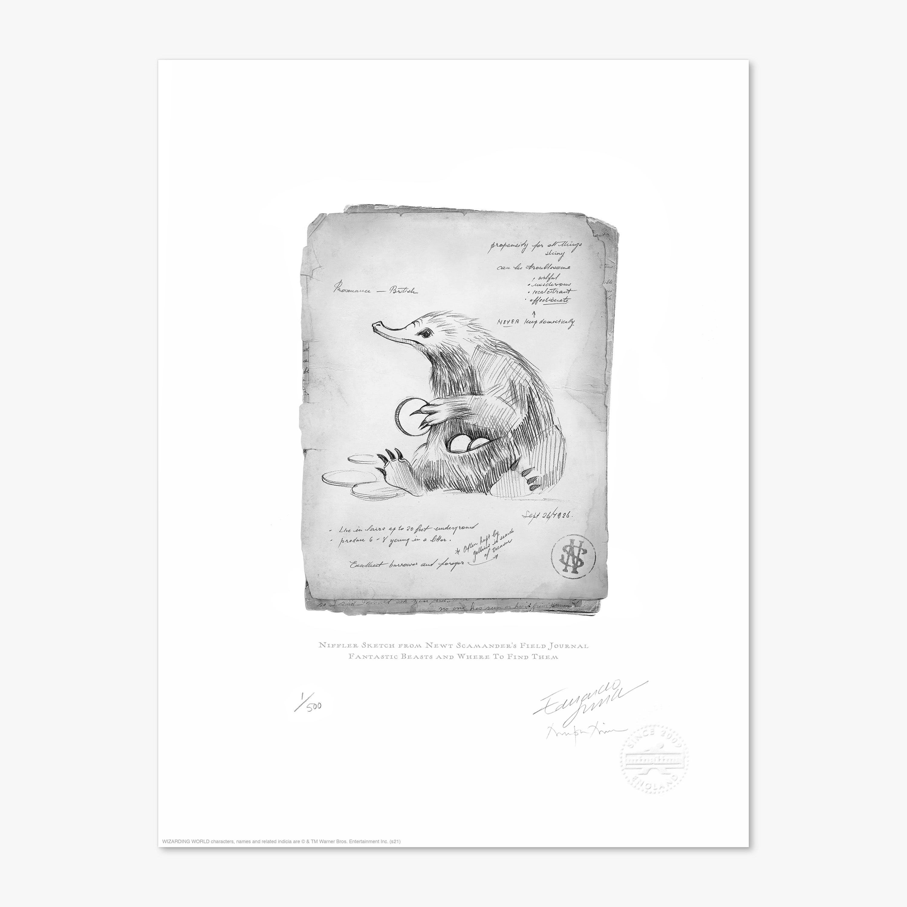 Niffler Sketch From Newt Scamander’s Field Journal