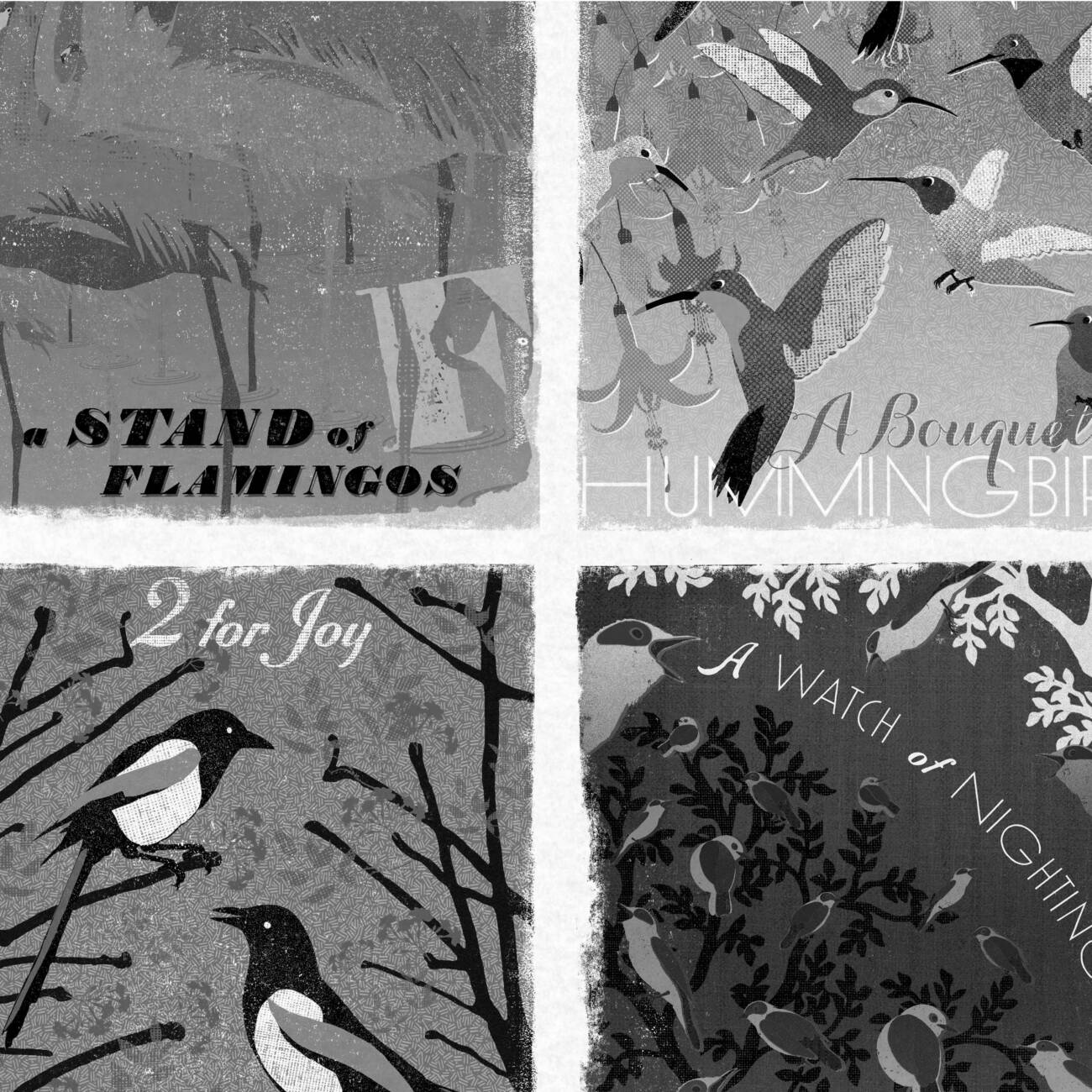 MinaLima Collective Nouns - Birds compilation Art Print