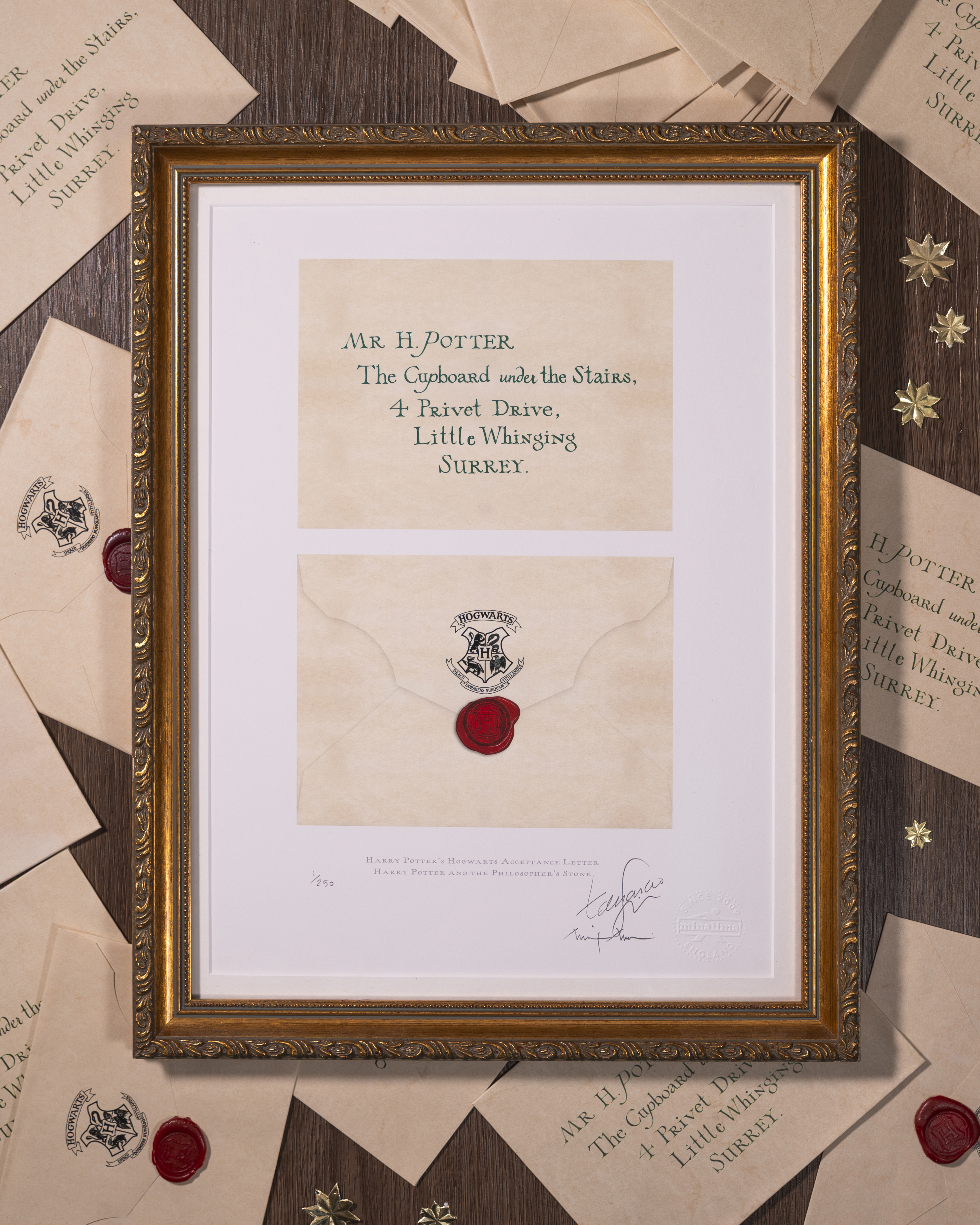 Harry Potter's Acceptance Letter Art Print