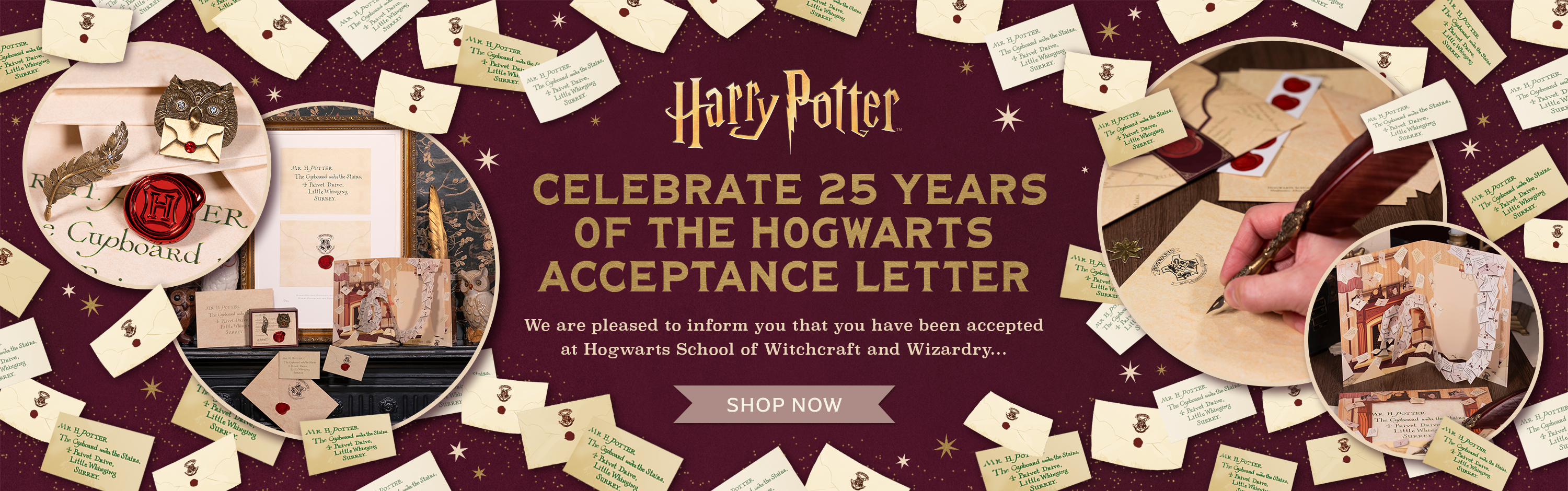 Take a trip to Honeydukes - shop now.