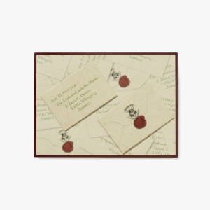 Harry Potter Hogwarts Acceptance Letter magnet set