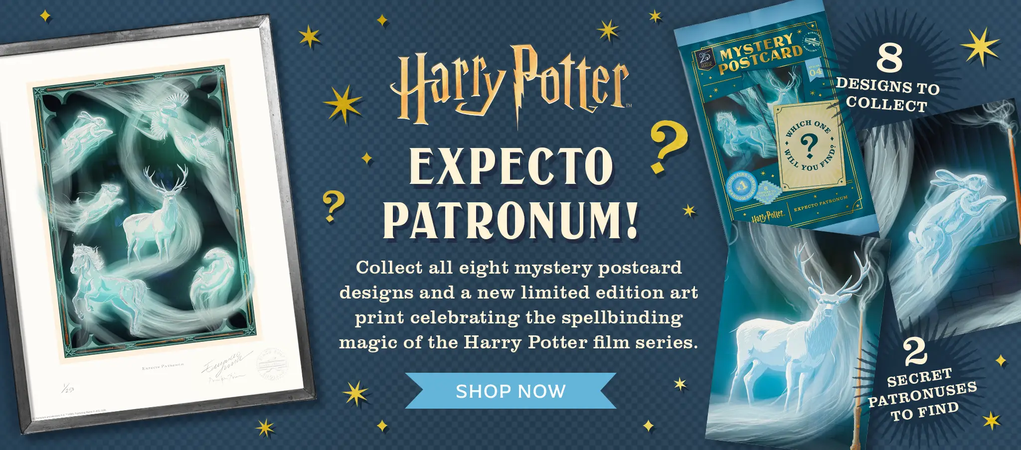 Are you feeling lucky? Shop Harry Potter and Fantastic Beasts Lucky Dips bundles now.