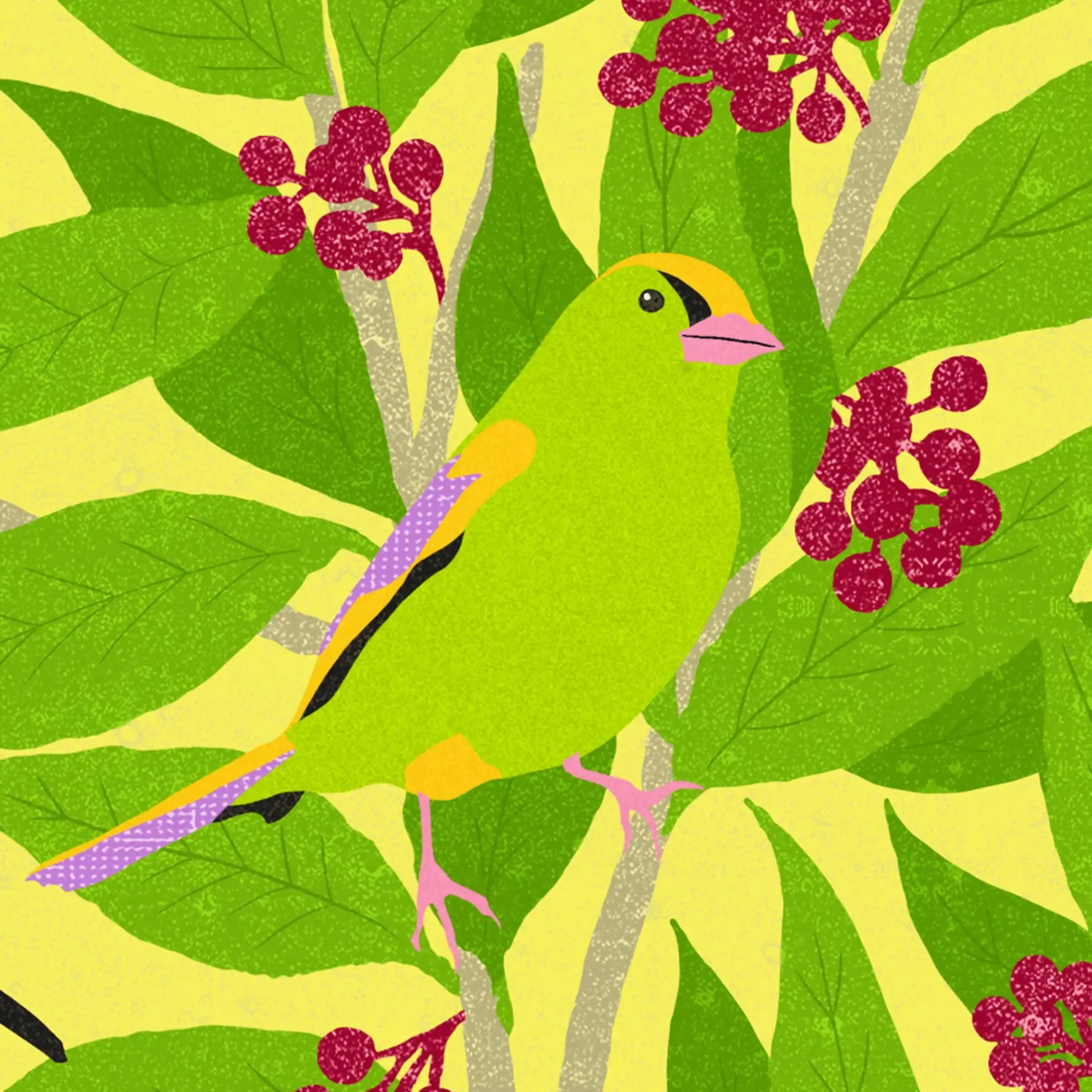 A Charm of Finches limited edition art print from the MinaLima Menagerie (close-up detail)