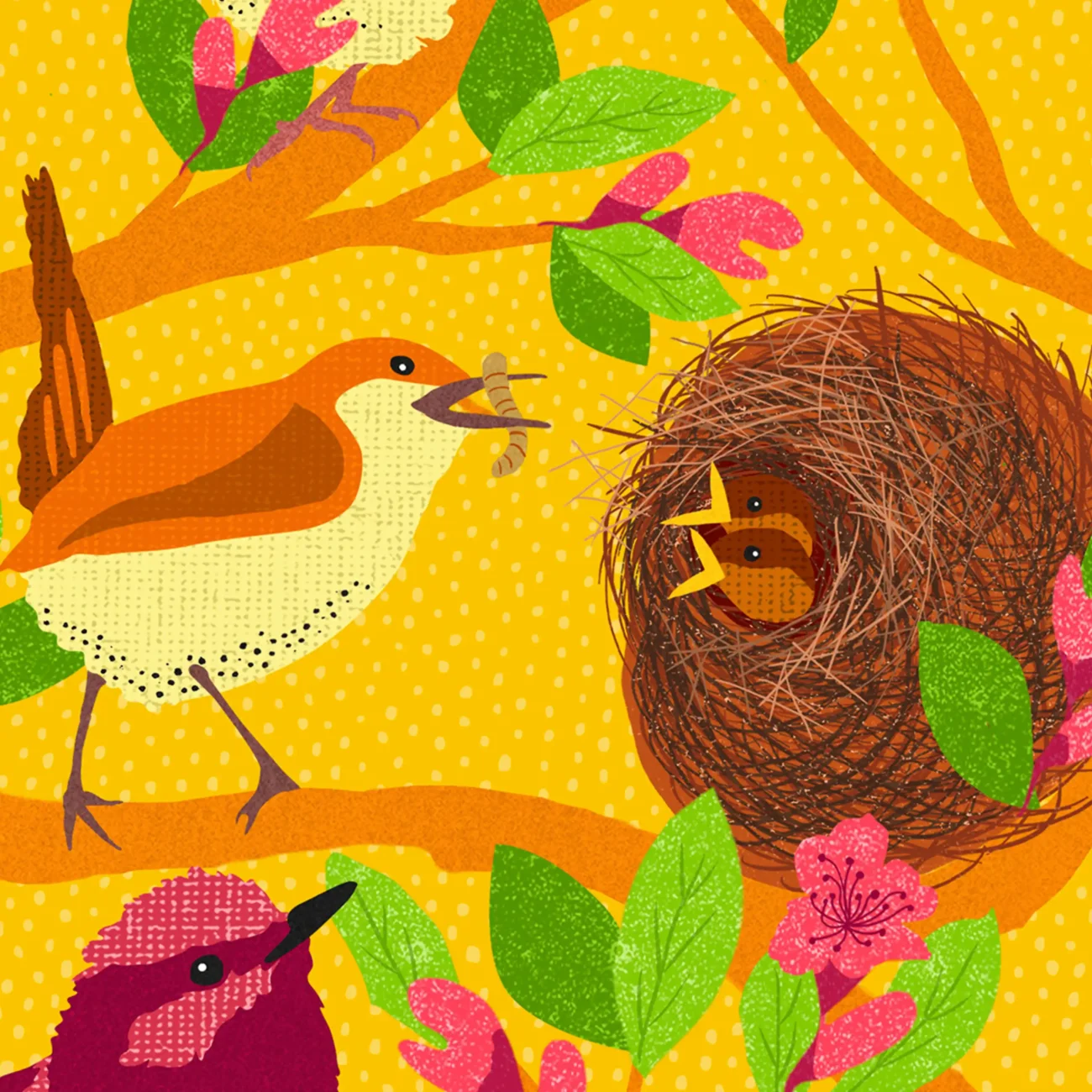 A Chime of Wrens limited edition art print from the MinaLima Menagerie series (close-up detail of a mother wren feeding her chicks)